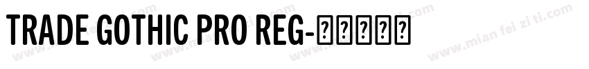 TRADE GOTHIC PRO REG字体转换